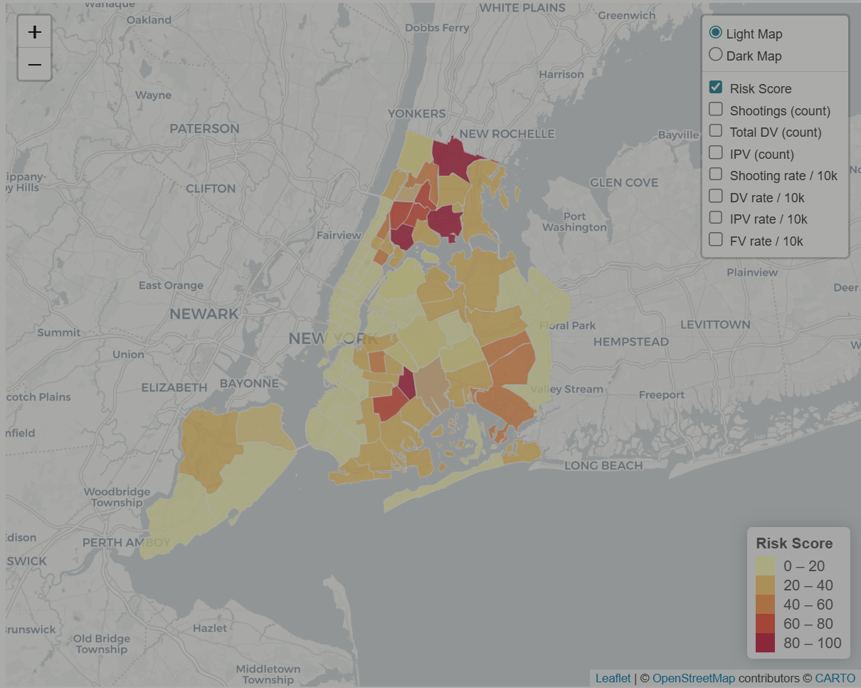 NYC DV Dashboard